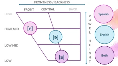 English/Spanish Contrastive Phonology & Filled Pauses featured image