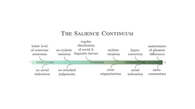 Covariation & Salience in Linguistic Contact featured image