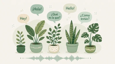 Spanish in Boston: Sociolinguistic Dataset & Analysis featured image
